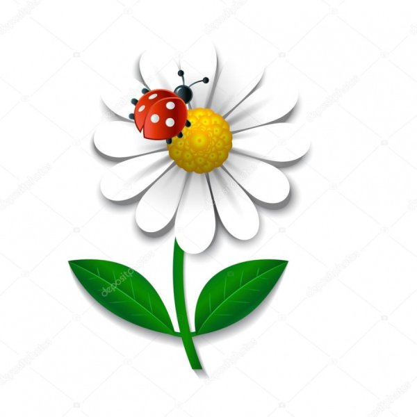 Божья коровка на ромашке вектор
