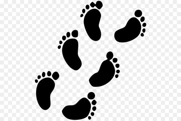 Следы младенца