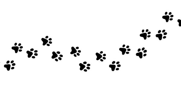 След собаки