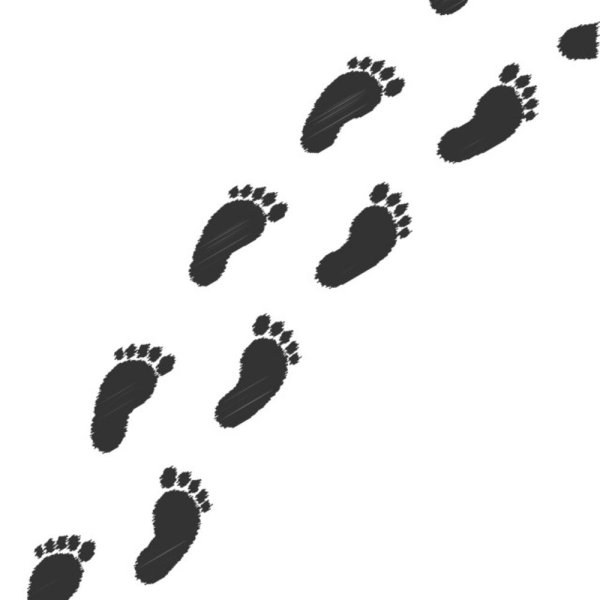 Следы человека