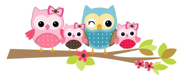 Совушка на прозрачном фоне