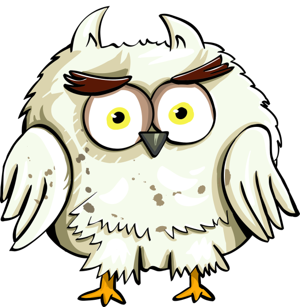 Совенок на белом фоне