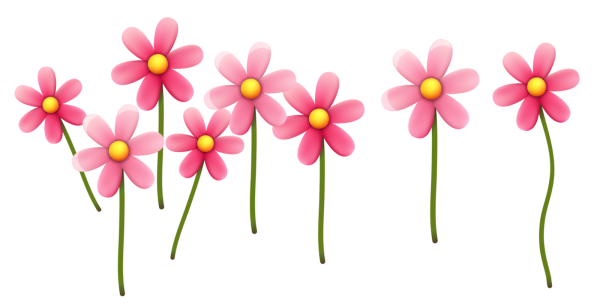 Цветочки на прозрачном фоне для детей