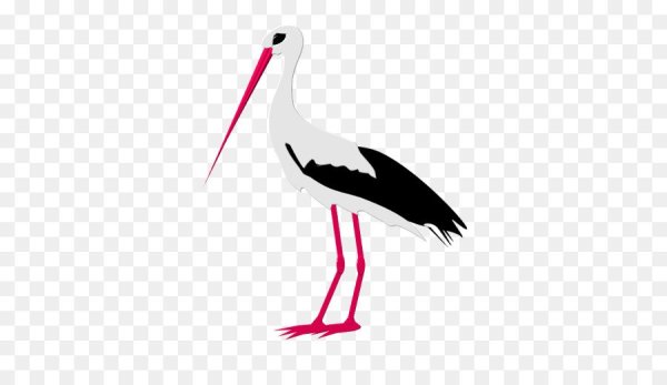 Аисты мультяшные