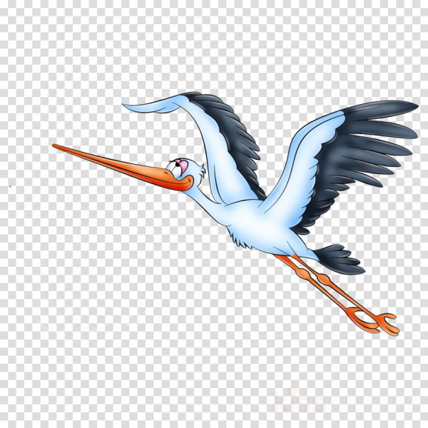 Аист картинка для детей на белом фоне