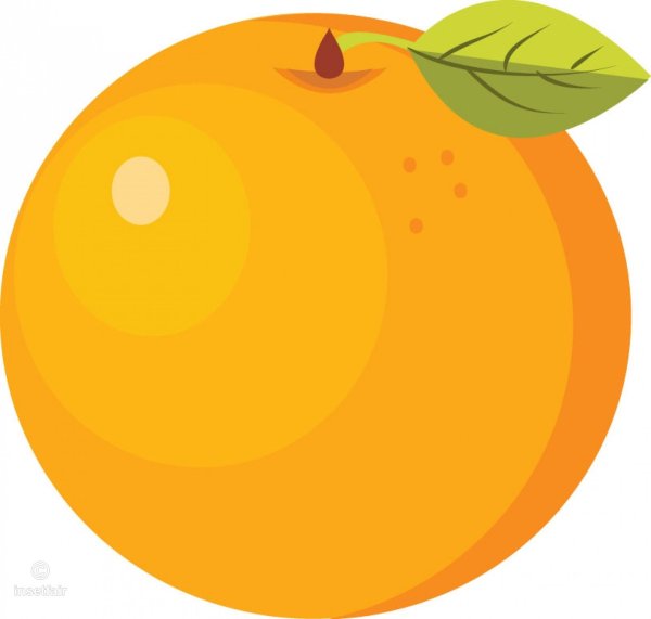 Апельсин рисунок