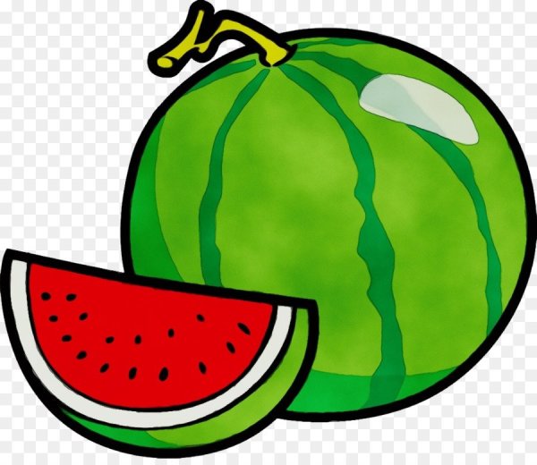 Арбуз вектор