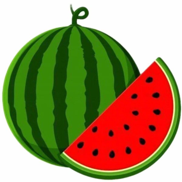 Арбуз вектор