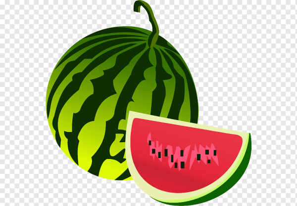 Детям про Арбуз в детском саду