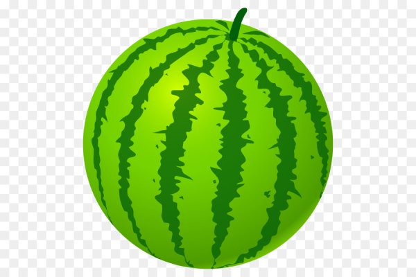 Арбуз для дошкольников