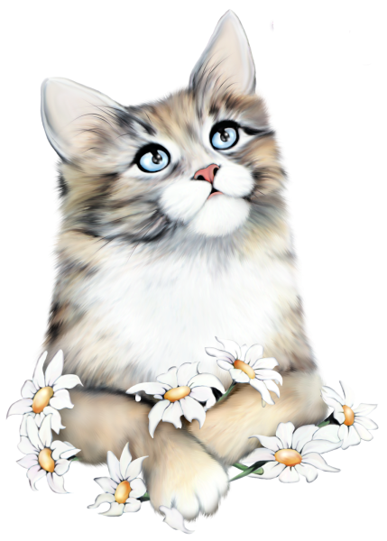 Кошка клипарт на прозрачном фоне