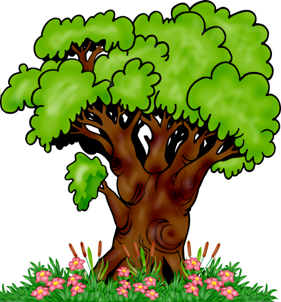 Дуб для детей