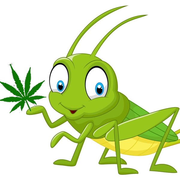 Кузнечик мультяшный