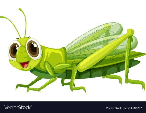 Кузнечик для детей