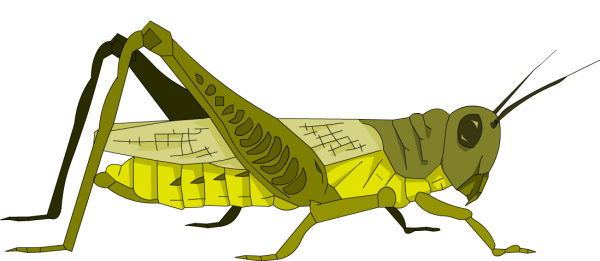 Саранча мультяшная