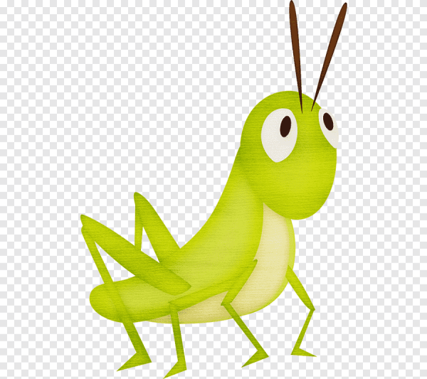 Кузнечик для детей на прозрачном фоне
