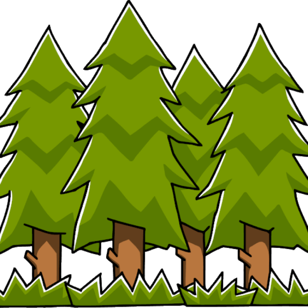 Лес без фона