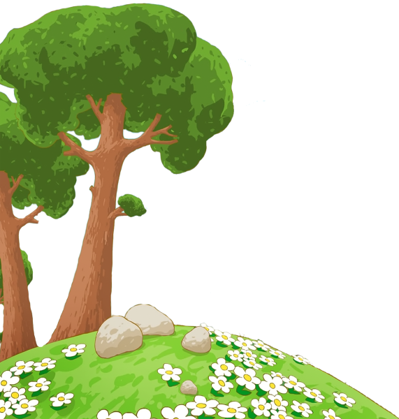 Дерево на прозрачном фоне