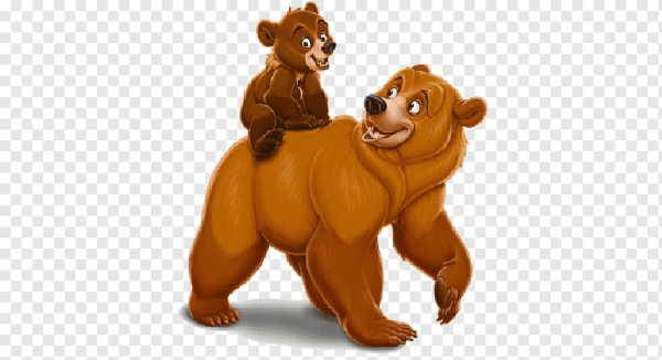 Медведь для детей