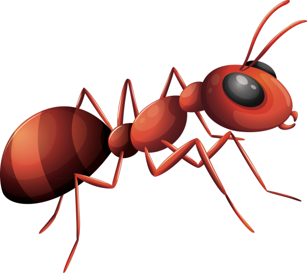 Муравей рисунок