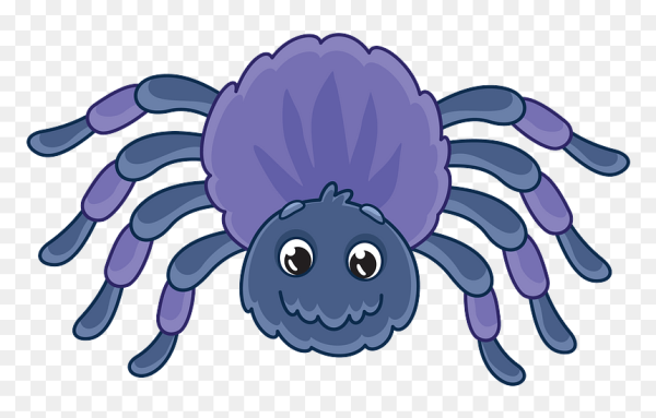 Паучок мультяшный