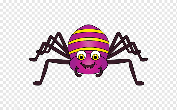 Паук для детей