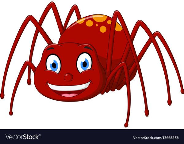 Паучок мультяшный