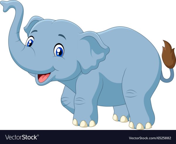 Слон для детей