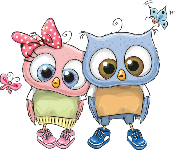 Совушки на белом фоне