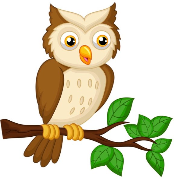 Совы мультяшные