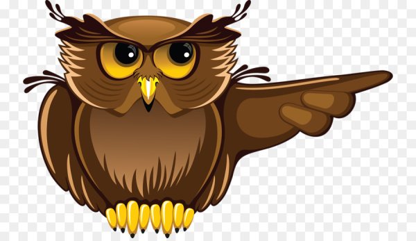 Совы мультяшные