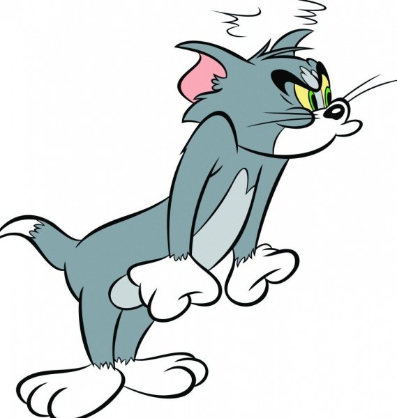 Кот том и Джерри