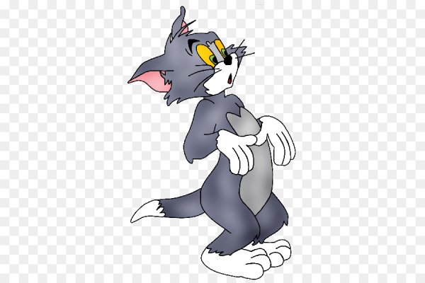 Tom and Jerry персонажи