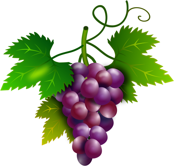 Кисть винограда