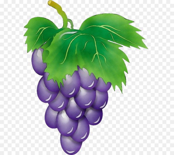 Фрукты мультяшные виноград