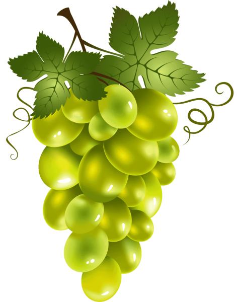 Виноград картинка