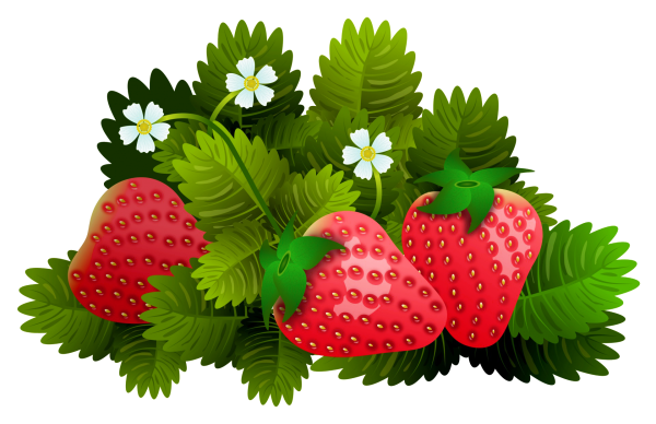 Кустик земляники для детей