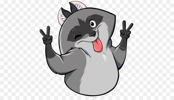 Енот Елисей Стикеры телеграм