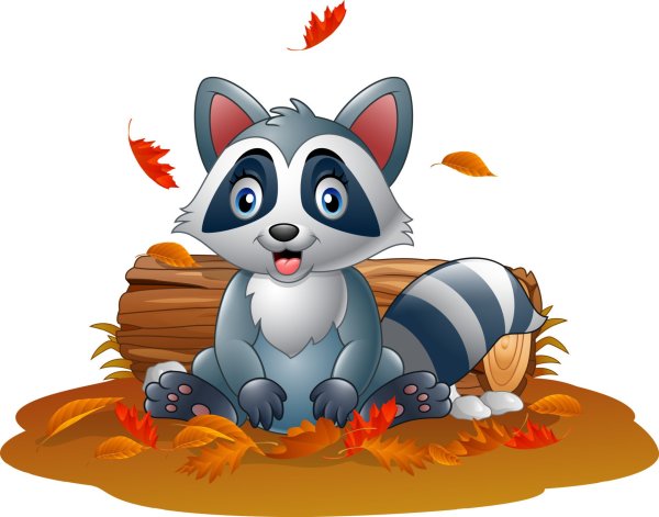 Енот для детей на прозрачном фоне