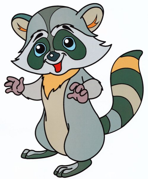 Енот рисунок