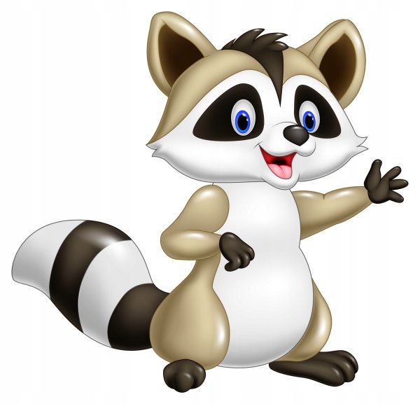 Енотик мульт на белом фоне