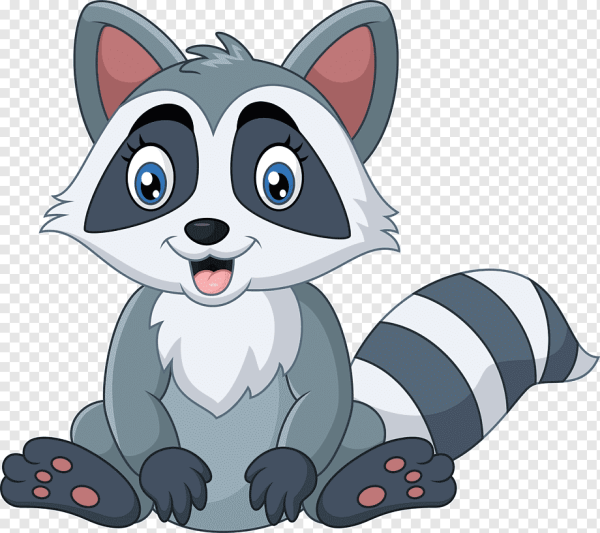 Мультяшные еноты