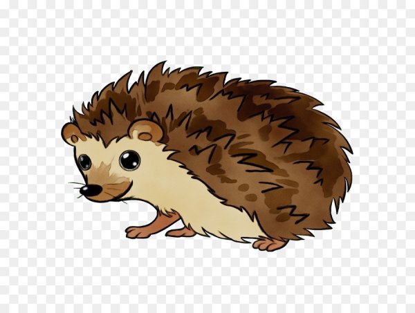 Еж картинка для детей