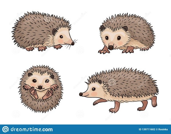 Ежонок картинка для детей на прозрачном фоне