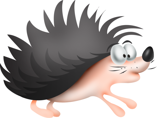Ежик на белом фоне