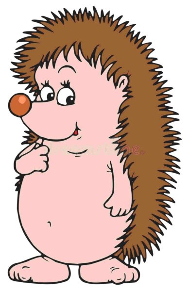 Ежик картинка для детей