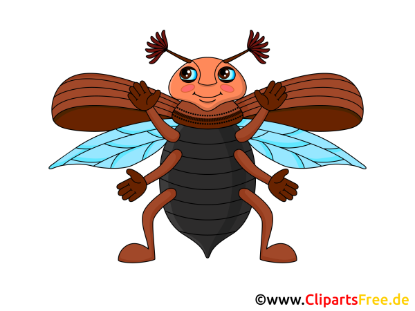 Изображение жука для детей