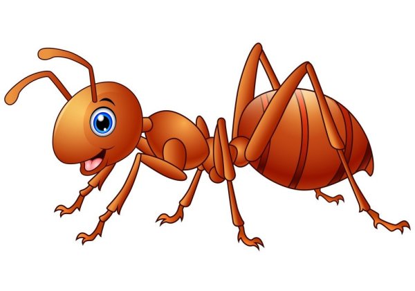 1 Мая ОТК муравьи