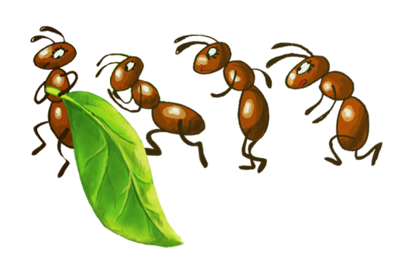 Муравей рисунок