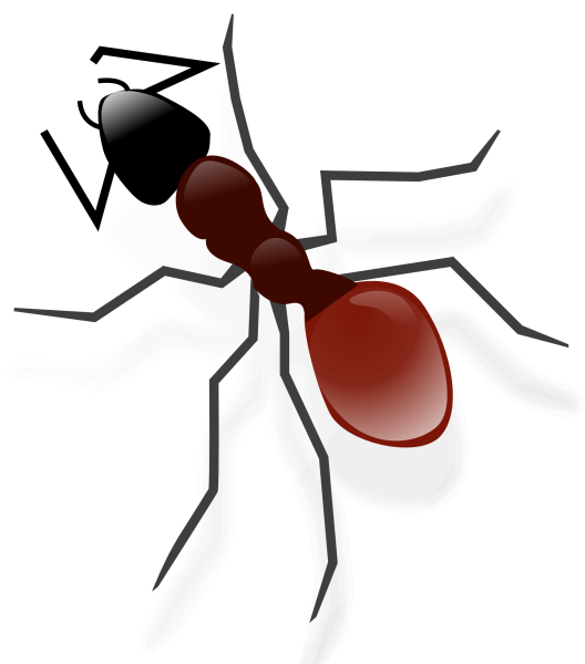 Муравей картинка